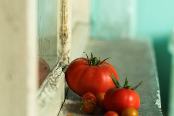A collection of ripe red tomatoes resting on a vintage windowsill with rustic charm.