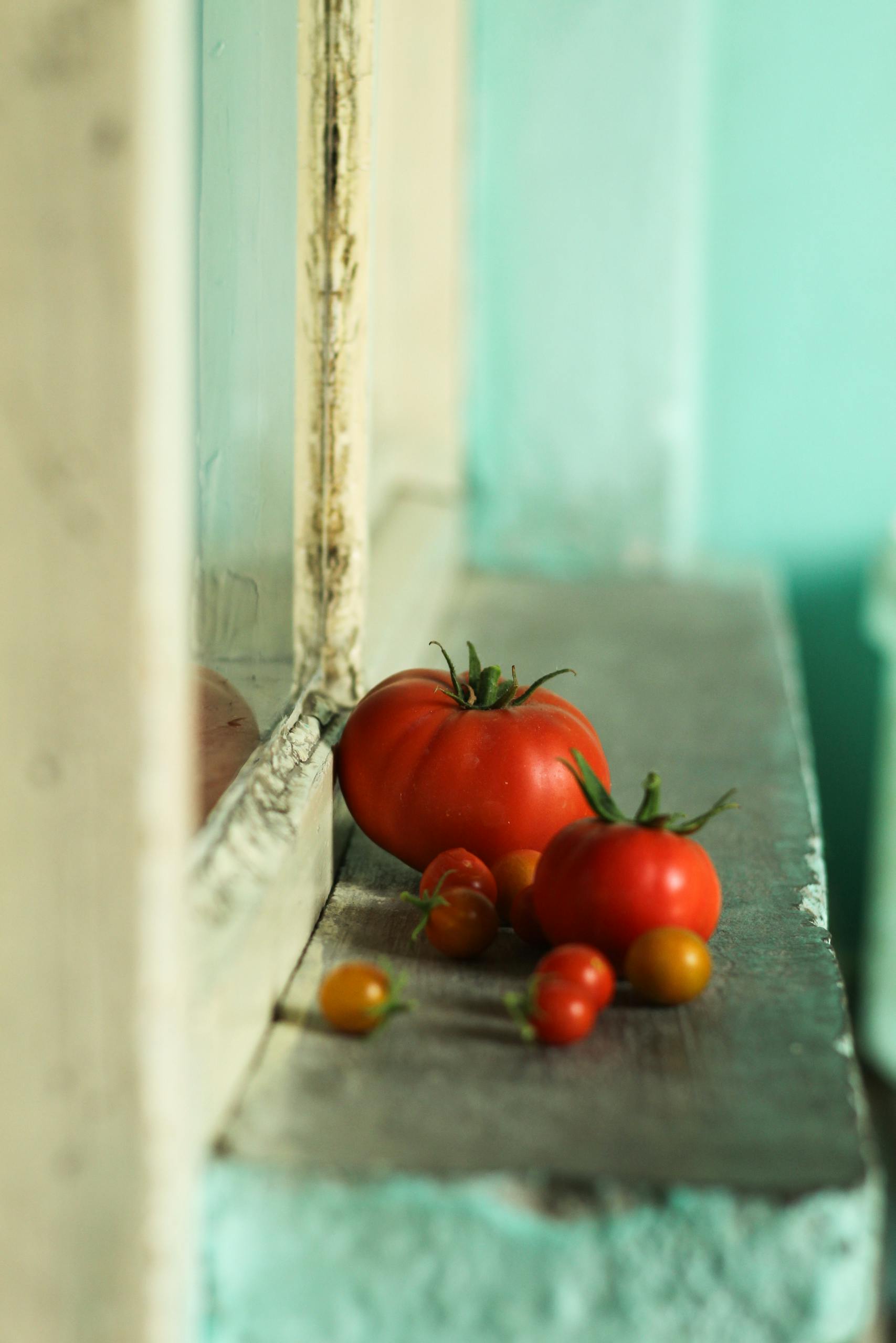 A collection of ripe red tomatoes resting on a vintage windowsill with rustic charm.