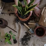 A serene scene of home gardening with potted plants and tools on a burlap mat.