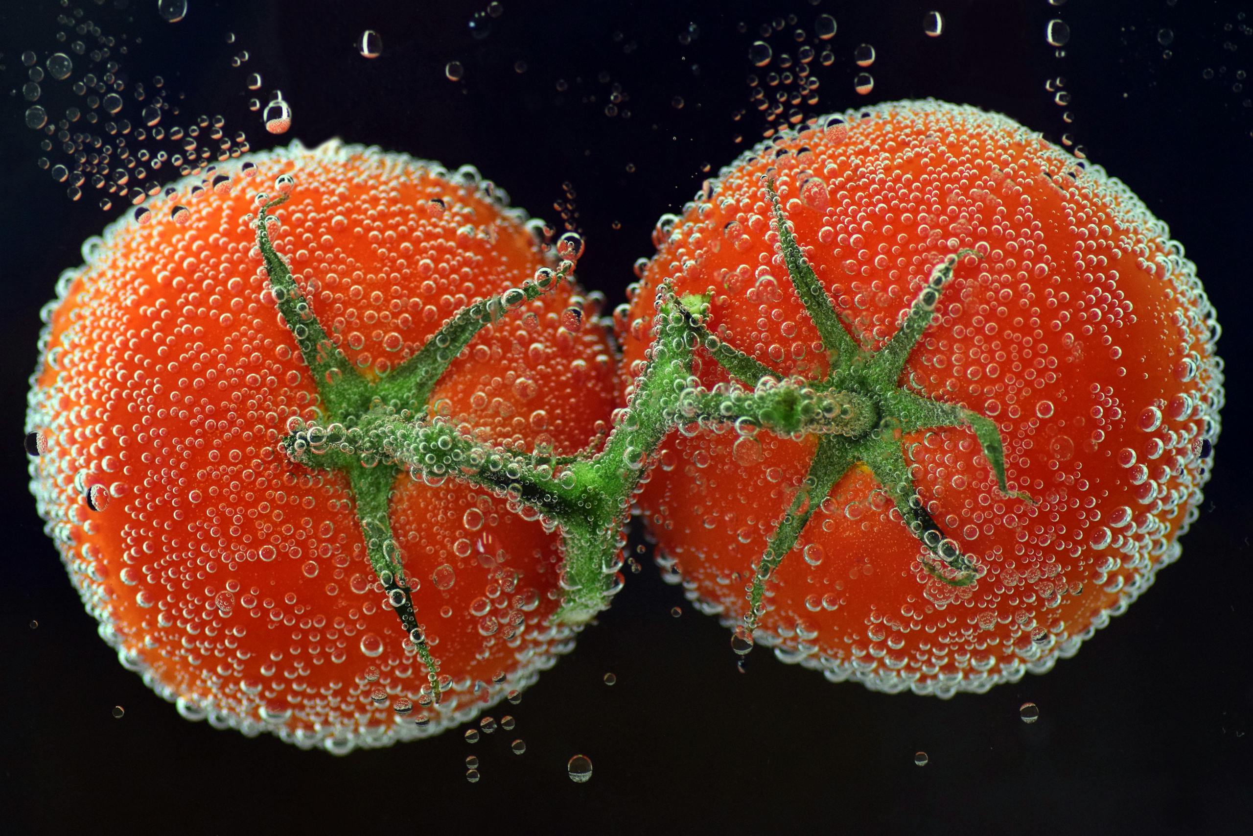 Close-up of fresh tomatoes underwater, covered in sparkling water bubbles.
