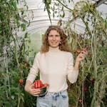 Smiling woman in turtleneck harvesting fresh tomatoes in a greenhouse.
